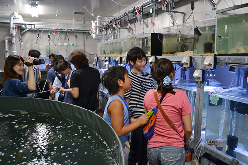 夏休みの特別企画、子供と一緒、親子で夜の水族館で生き物の姿を観察！ すみだ水族館「おやこでお泊り水族館」開催！