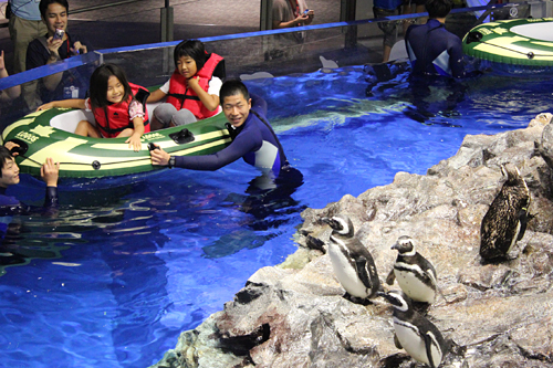 夏休みの特別企画、子供と一緒、親子で夜の水族館で生き物の姿を観察！ すみだ水族館「おやこでお泊り水族館」開催！