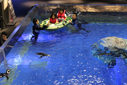 夏休みの特別企画、子供と一緒、親子で夜の水族館で生き物の姿を観察！ すみだ水族館「おやこでお泊り水族館」開催！