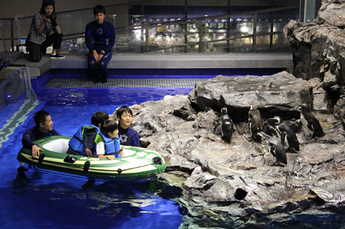 夏休みの特別企画、子供と一緒、親子で夜の水族館で生き物の姿を観察！ すみだ水族館「おやこでお泊り水族館」開催！