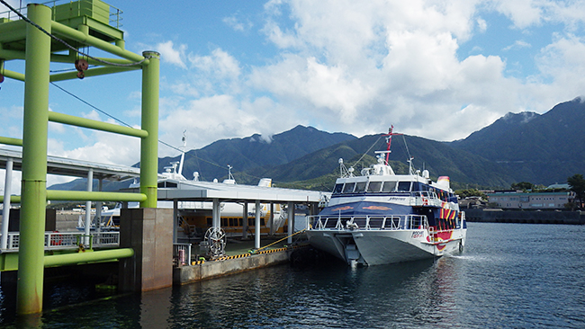 縄文杉、白谷雲水峡トレッキング、ウミガメを見に行こう！ 子どもと行く “屋久島” 旅行：屋久島に到着！・ウミガメの孵化