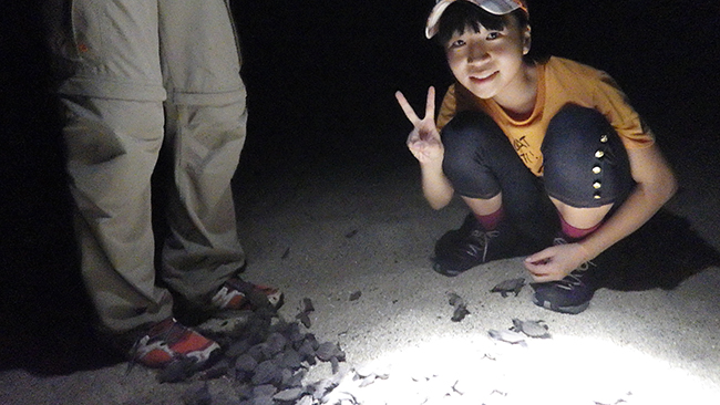 縄文杉、白谷雲水峡トレッキング、ウミガメを見に行こう！ 子どもと行く “屋久島” 旅行：屋久島に到着！・ウミガメの孵化