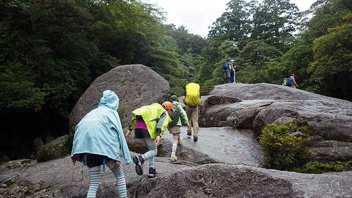 縄文杉、白谷雲水峡トレッキング、ウミガメを見に行こう！ 子どもと行く “屋久島” 旅行：白谷雲水峡トレッキング・シュノーケリング