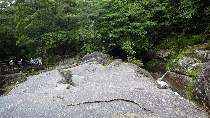 縄文杉、白谷雲水峡トレッキング、ウミガメを見に行こう！ 子どもと行く “屋久島” 旅行：白谷雲水峡トレッキング・シュノーケリング