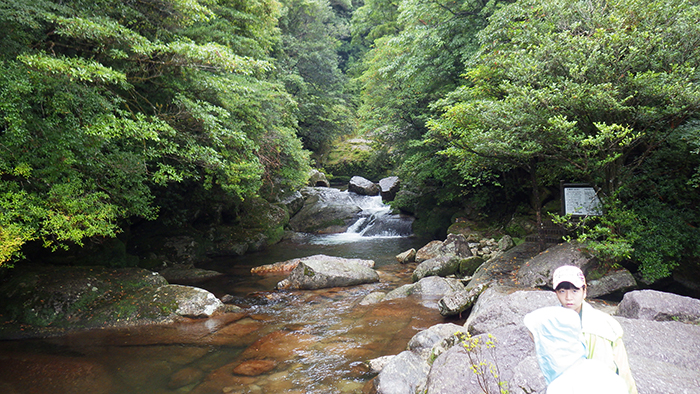 縄文杉、白谷雲水峡トレッキング、ウミガメを見に行こう！ 子どもと行く “屋久島” 旅行：白谷雲水峡トレッキング・シュノーケリング