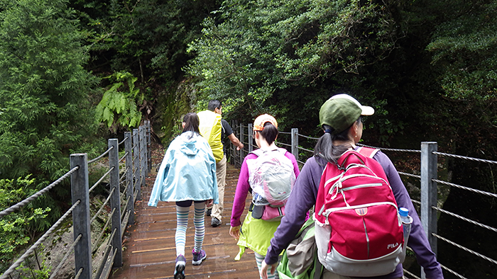 縄文杉、白谷雲水峡トレッキング、ウミガメを見に行こう！ 子どもと行く “屋久島” 旅行：白谷雲水峡トレッキング・シュノーケリング