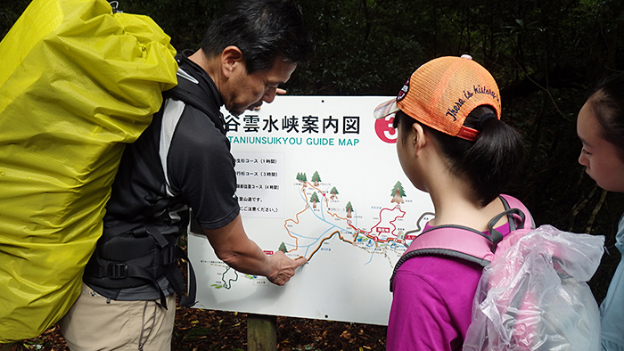 縄文杉、白谷雲水峡トレッキング、ウミガメを見に行こう！ 子どもと行く “屋久島” 旅行：白谷雲水峡トレッキング・シュノーケリング