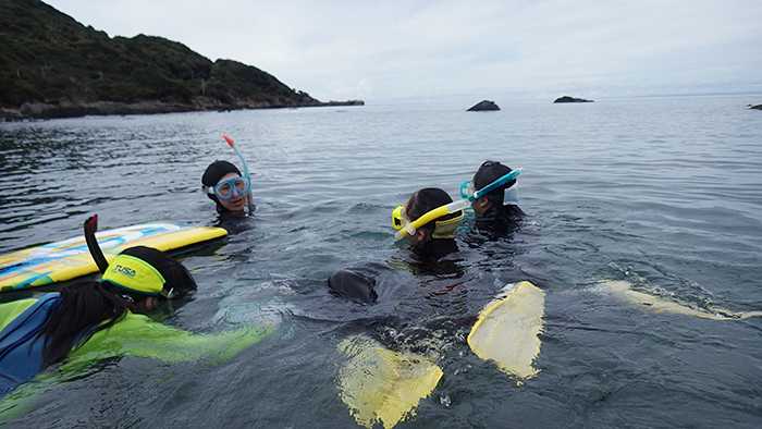 縄文杉、白谷雲水峡トレッキング、ウミガメを見に行こう！ 子どもと行く “屋久島” 旅行：白谷雲水峡トレッキング・シュノーケリング