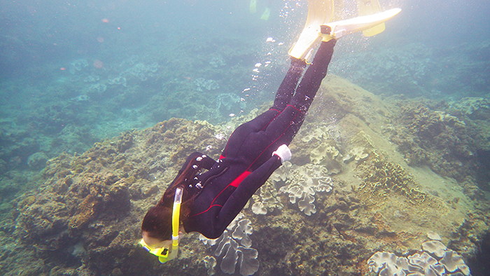 縄文杉、白谷雲水峡トレッキング、ウミガメを見に行こう！ 子どもと行く “屋久島” 旅行：白谷雲水峡トレッキング・シュノーケリング