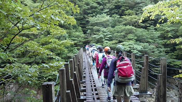 縄文杉、白谷雲水峡トレッキング、ウミガメを見に行こう！ 子どもと行く “屋久島” 旅行：縄文杉トレッキング