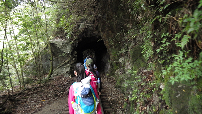 縄文杉、白谷雲水峡トレッキング、ウミガメを見に行こう！ 子どもと行く “屋久島” 旅行：縄文杉トレッキング