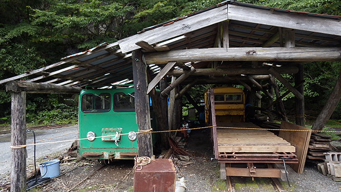 縄文杉、白谷雲水峡トレッキング、ウミガメを見に行こう！ 子どもと行く “屋久島” 旅行：縄文杉トレッキング