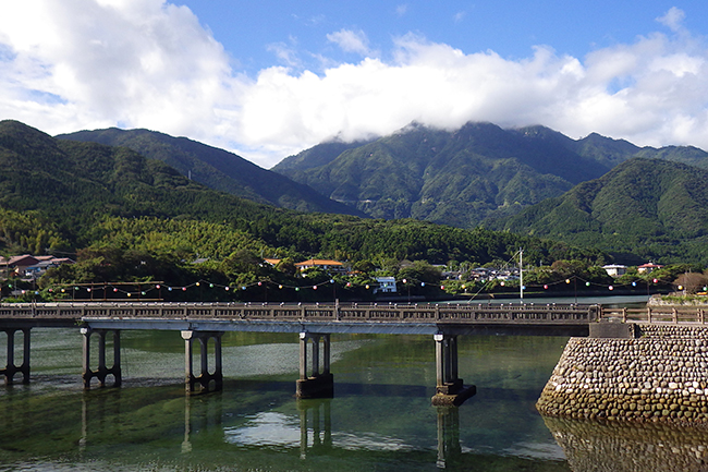 縄文杉、白谷雲水峡トレッキング、ウミガメを見に行こう！ 子どもと行く 屋久島旅行の旅行費用