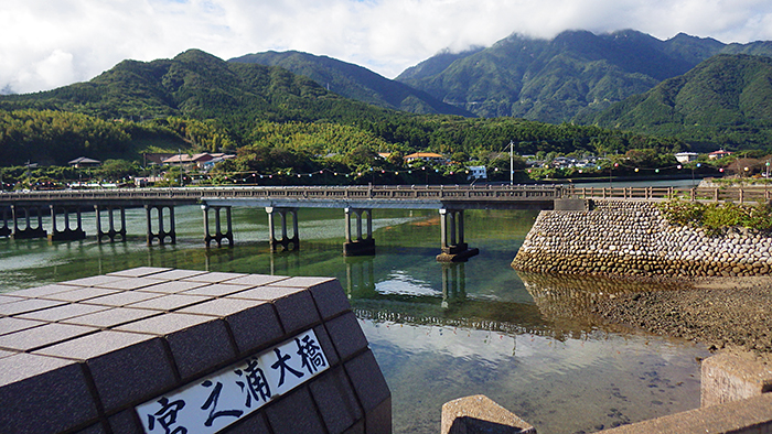 縄文杉、白谷雲水峡トレッキング、ウミガメを見に行こう！ 子どもと行く 屋久島旅行の旅行費用