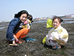 木更津海岸で潮干狩りに挑戦！