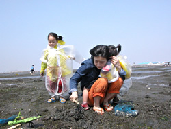 木更津海岸で潮干狩りに挑戦！
