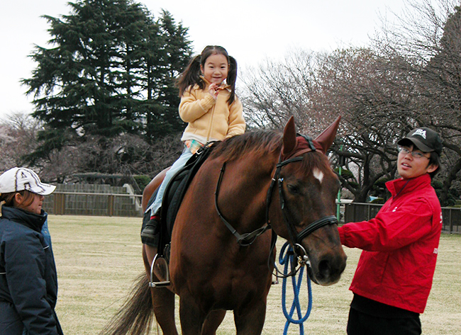 馬事公苑で馬に乗ろう！「体験乗馬」や「馬車の試乗」