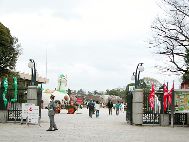 馬事公苑で馬に乗ろう！「体験乗馬」と「馬車の試乗」