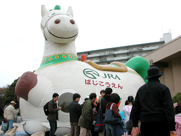 馬事公苑で馬に乗ろう！「体験乗馬」と「馬車の試乗」