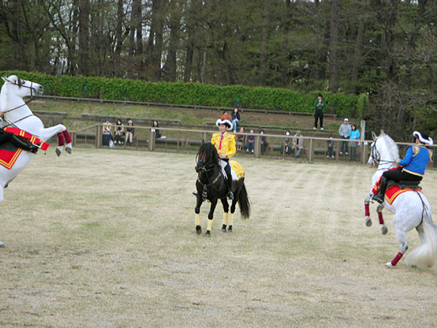 馬事公苑で馬に乗ろう！「体験乗馬」と「馬車の試乗」