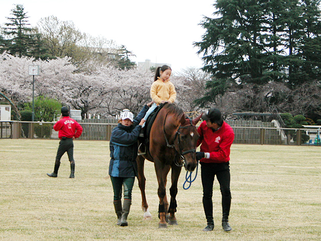 馬事公苑で馬に乗ろう！「体験乗馬」と「馬車の試乗」