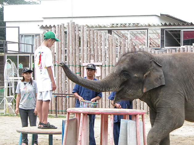 ぞうに乗ろう！ 遊ぼう！ぞうの動物園「市原ぞうの国」にお出かけ！