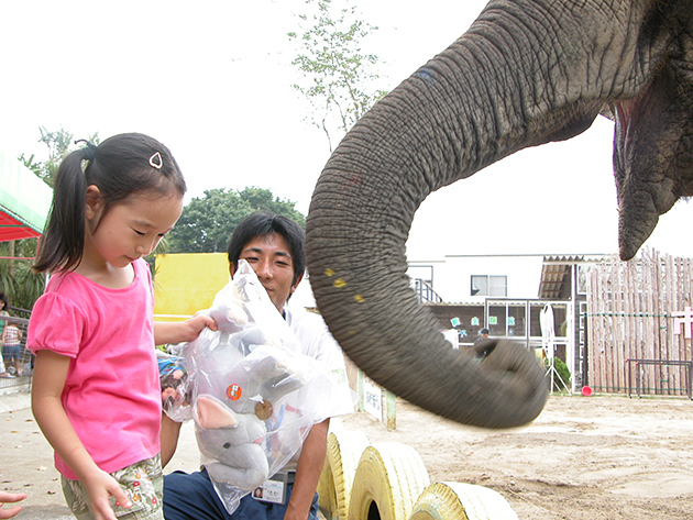 ぞうに乗ろう！ 遊ぼう！ぞうの動物園「市原ぞうの国」にお出かけ！