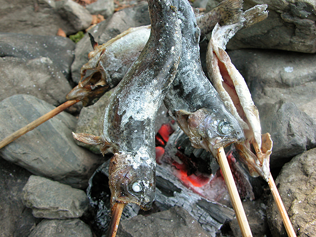 魚を釣って、その場で食べよう！ 北浅川恩方ます釣場でマス釣り！