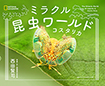 キッズイベント「子どもの夢の叶え方」第15回 西田賢司さん（探検昆虫学者）インタビュー