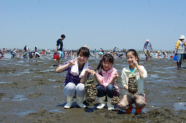 子供と潮干狩りを楽しめる「江川海岸潮干狩場」の写真