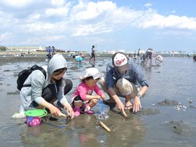 201610_facilities_shiohigari_park_funabashi02