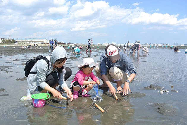 2017年 潮干狩り：ふなばし三番瀬海浜公園