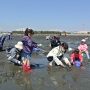 都心から一番近い潮干狩り場！ ふなばし三番瀬海浜公園