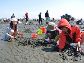 都心から一番近い潮干狩り場！ ふなばし三番瀬海浜公園