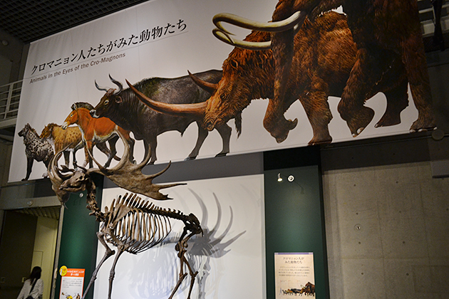 クロマニョン人の豊かな創造性や芸術のはじまりを体感！ 特別展「世界遺産 ラスコー展 〜クロマニョン人が残した洞窟壁画〜」