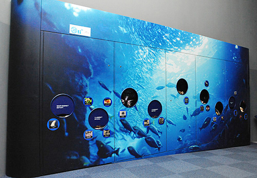 “えのすい”の愛称で親しまれる“わくわくドキドキ冒険水族館”「新江ノ島水族館」