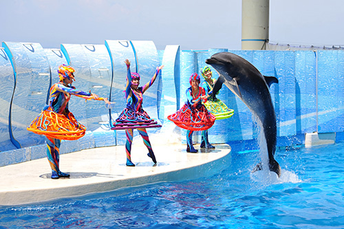 新江ノ島水族館（えのすい）の写真