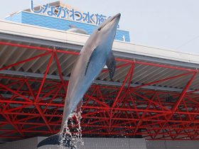 “海や川とのふれあい”がテーマ「しながわ水族館」