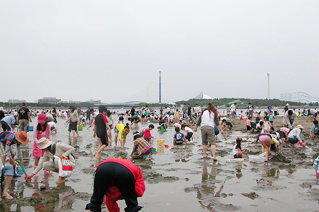 自然のアサリで潮干狩りを楽しめる横浜の潮干狩場「横浜 海の公園」