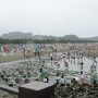 自然のアサリで潮干狩りを楽しめる横浜の潮干狩場「横浜 海の公園」