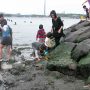 自然のアサリで潮干狩りを楽しめる横浜の潮干狩場「横浜 海の公園」