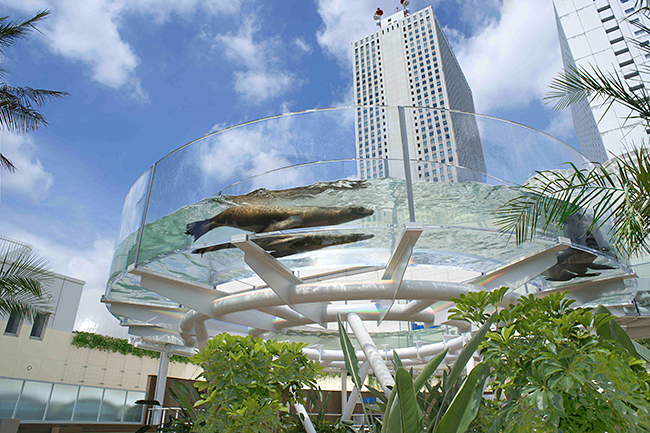 “天空のオアシス”都市型高層水族館「サンシャイン水族館」