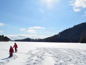 20170122_t_event_nikko_snow_01