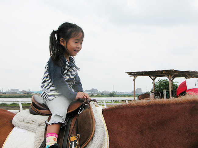 ポニー乗馬や馬車など、気軽に馬と触れ合える！ 江戸川区篠崎ポニーランド