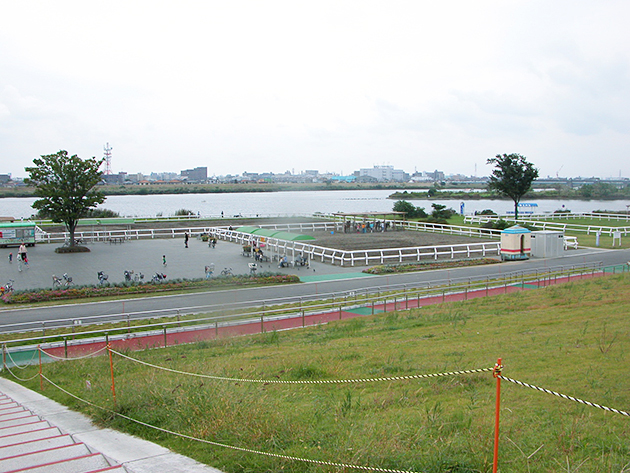 ポニー乗馬や馬車など、気軽に馬と触れ合える！ 江戸川区篠崎ポニーランド