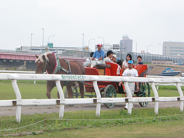 ポニー乗馬や馬車など、気軽に馬と触れ合える！ 江戸川区篠崎ポニーランド