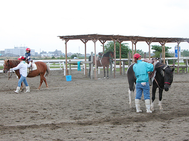 ポニー乗馬や馬車など、気軽に馬と触れ合える！ 江戸川区篠崎ポニーランド