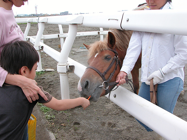 ポニー乗馬や馬車など、気軽に馬と触れ合える！ 江戸川区篠崎ポニーランド