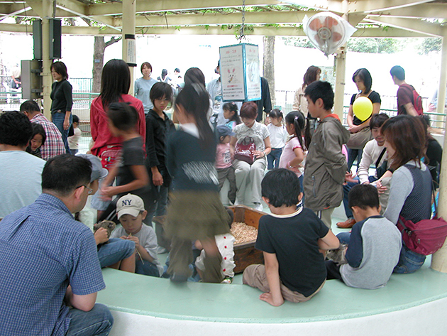 江戸川区自然動物公園の「ふれあいコーナー」でうさぎ、モルモットと触れ合い！