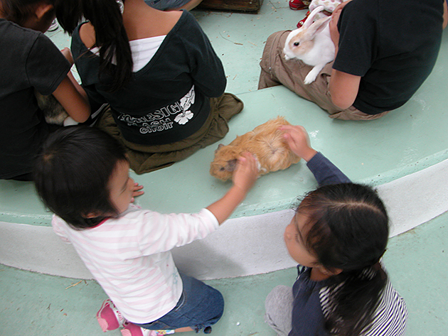 江戸川区自然動物公園の「ふれあいコーナー」でうさぎ、モルモットと触れ合い！